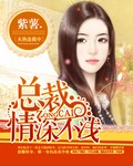 总裁,情深不浅